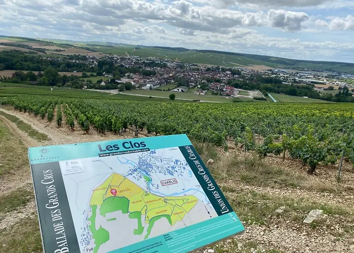 Le Cristallin Gite Plein Coeur De Chablis
